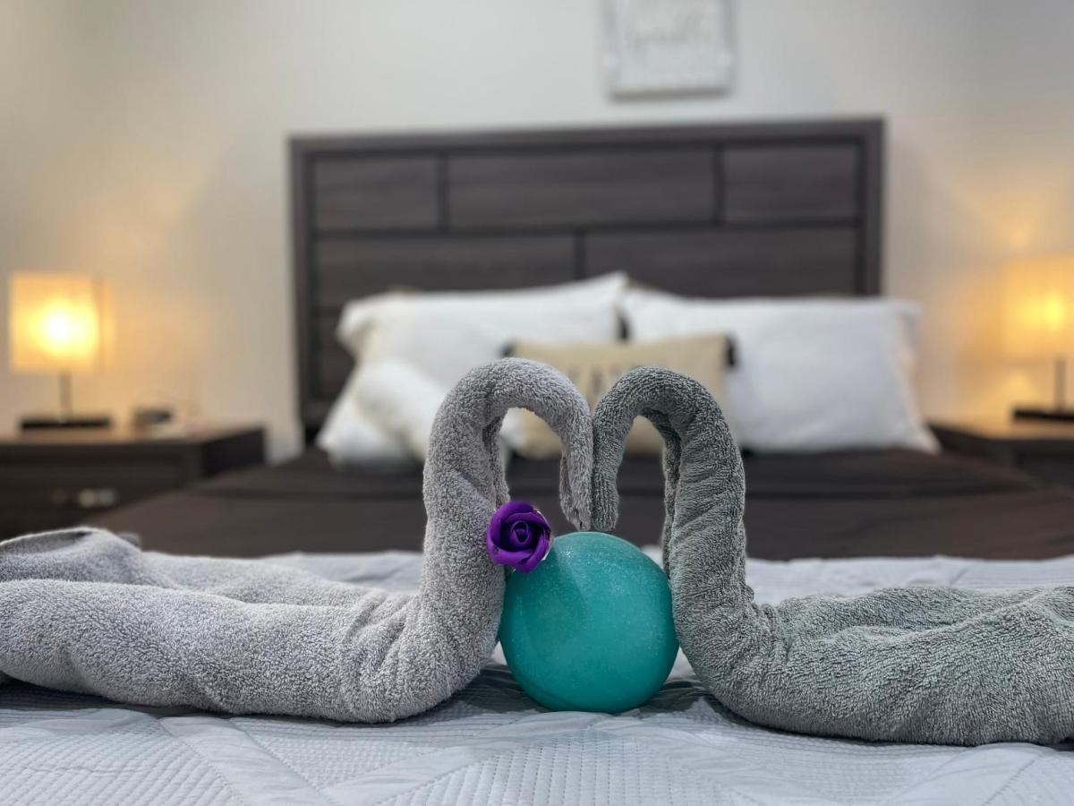 Modern Santorini Suite Houston Nrg Tmc Luxurious Walkable Ngoại thất bức ảnh